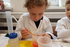 delfiny-i-zajecia-smart_lab-17