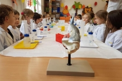 delfiny-i-zajecia-smart_lab-20