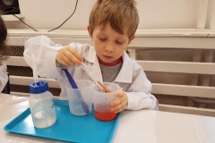 delfiny-i-zajecia-smart_lab-26