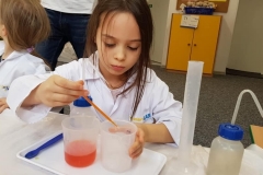 delfiny-i-zajecia-smart_lab-32