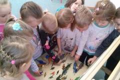 dzien-dinozaura-u-delfinkow-13
