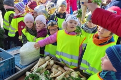 krasnale-i-delfinki-na-straganie-05
