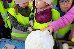 krasnale-i-delfinki-na-straganie-09