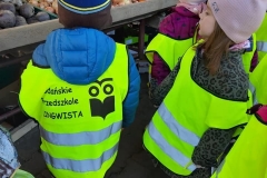 krasnale-i-delfinki-na-straganie-11