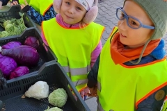 krasnale-i-delfinki-na-straganie-13