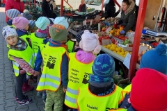 krasnale-i-delfinki-na-straganie-14