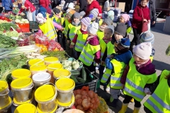 krasnale-i-delfinki-na-straganie-15