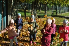 krasnale-i-delfiny-w-poszukiwaniu-jesiennych-kolorow-12