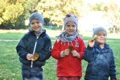 krasnale-i-delfiny-w-poszukiwaniu-jesiennych-kolorow-32