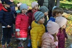 krasnale-i-delfiny-w-poszukiwaniu-jesiennych-kolorow-35