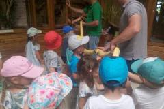 krasnale-na-wycieczce-do-egzotycznego-zoo-03
