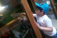 krasnale-na-wycieczce-do-egzotycznego-zoo-04