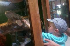 krasnale-na-wycieczce-do-egzotycznego-zoo-06