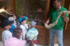 krasnale-na-wycieczce-do-egzotycznego-zoo-07