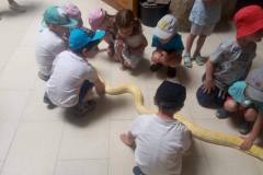 krasnale-na-wycieczce-do-egzotycznego-zoo-10
