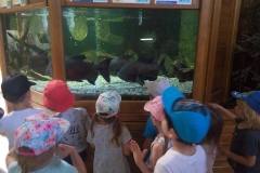 krasnale-na-wycieczce-do-egzotycznego-zoo-13