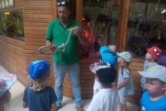 krasnale-na-wycieczce-do-egzotycznego-zoo-14