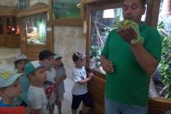 krasnale-na-wycieczce-do-egzotycznego-zoo-15
