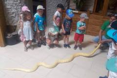 krasnale-na-wycieczce-do-egzotycznego-zoo-16
