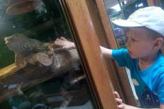 krasnale-na-wycieczce-do-egzotycznego-zoo-17