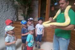 krasnale-na-wycieczce-do-egzotycznego-zoo-19