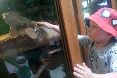 krasnale-na-wycieczce-do-egzotycznego-zoo-21