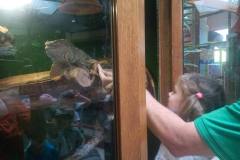 krasnale-na-wycieczce-do-egzotycznego-zoo-22