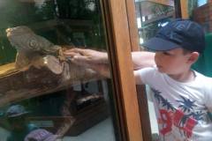 krasnale-na-wycieczce-do-egzotycznego-zoo-26