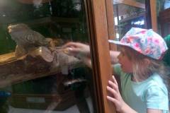 krasnale-na-wycieczce-do-egzotycznego-zoo-27