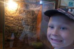 krasnale-na-wycieczce-do-egzotycznego-zoo-28