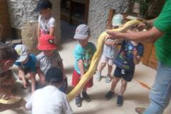 krasnale-na-wycieczce-do-egzotycznego-zoo-29