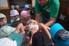 krasnale-na-wycieczce-do-egzotycznego-zoo-30