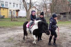 kucyki-fuks-i-elvis-po-zimowej-przerwie-13