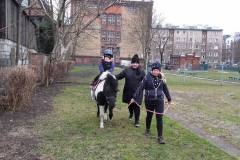 kucyki-fuks-i-elvis-po-zimowej-przerwie-23