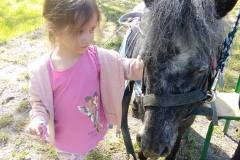 misie-i-przyjaciel-karolek-10
