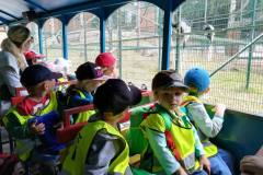 misie-na-wycieczce-w-gdanskim-ogrodzie-zoologicznym-14