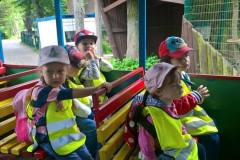 misie-na-wycieczce-w-gdanskim-ogrodzie-zoologicznym-16