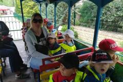 misie-na-wycieczce-w-gdanskim-ogrodzie-zoologicznym-17