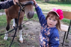 pierwsza-powakacyjna-wizyta-kucykow-w-przedszkolu-04