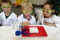 pierwsze-eksperymenty-na-zajeciach-smart_lab-06
