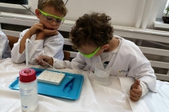 pierwsze-eksperymenty-na-zajeciach-smart_lab-18