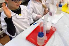 smart_lab-w-delfinkach-04