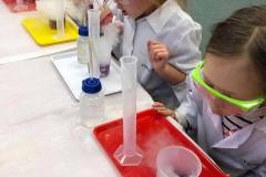 smart_lab-w-delfinkach-12