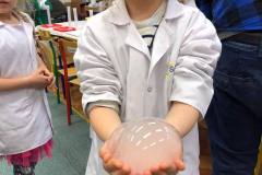 smart_lab-w-delfinkach-14
