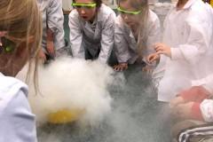 smart_lab-w-delfinkach-18