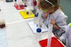 smart_lab-w-delfinkach-22