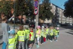 spacer-delfinkow-13