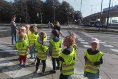 spacer-delfinkow-20