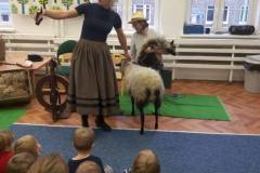 spotkanie-z-owieczkami-19