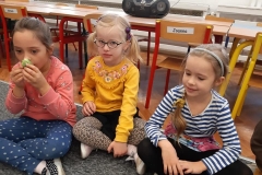 warzywa-i-ich-wartosci-odzywcze-10